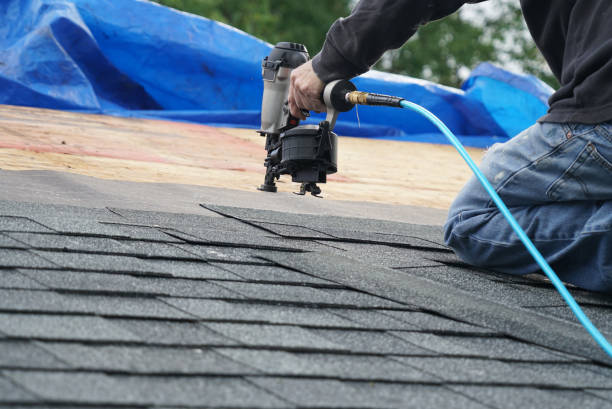 Best Roof Moss and Algae Removal  in South Henderson, NC